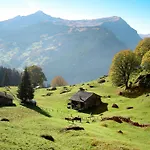 Apartament Mit Bergblick By Interhome Grindelwald