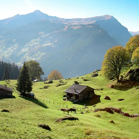 Διαμέρισμα Mit Bergblick By Interhome Γκρίντελβαλντ