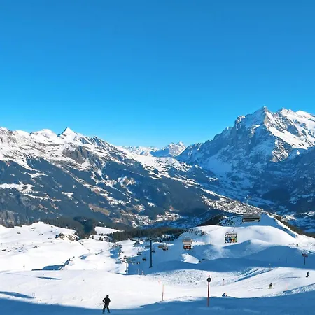 Appartement Mit Bergblick By Interhome