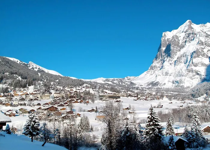 Mit Bergblick By Interhome Apartman Grindelwald