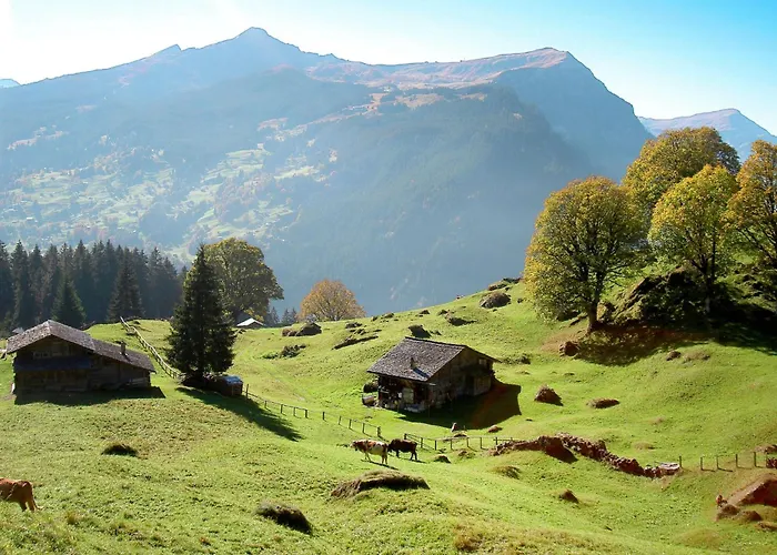 Apartment Mit Bergblick By Interhome Grindelwald